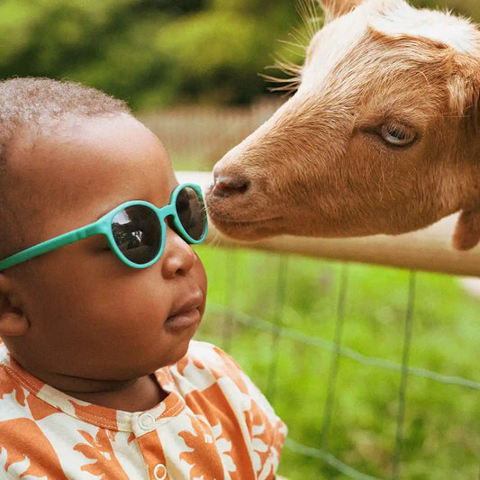 lunettes de soleil enfant wazz lagon