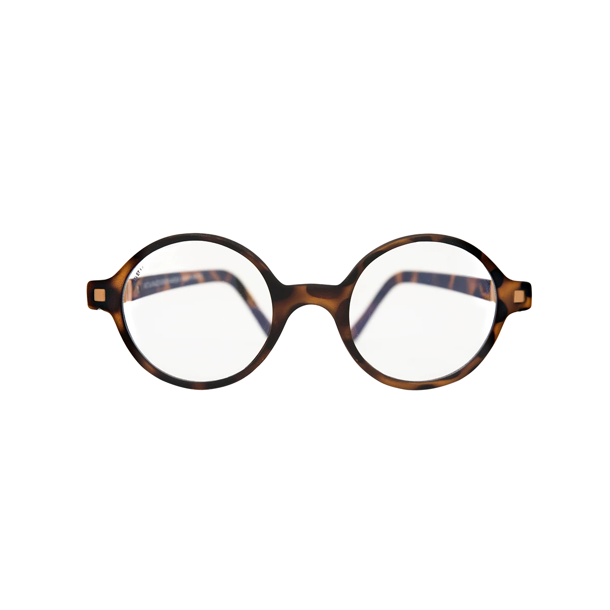 lunette pour écran rozz couleur ekail